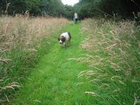 click for a larger view